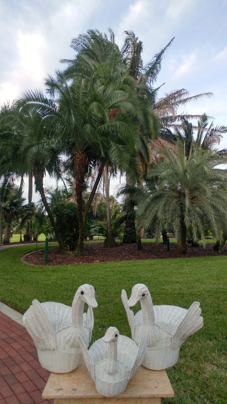 (3) Super Cute Wicker Birds Flower Pots