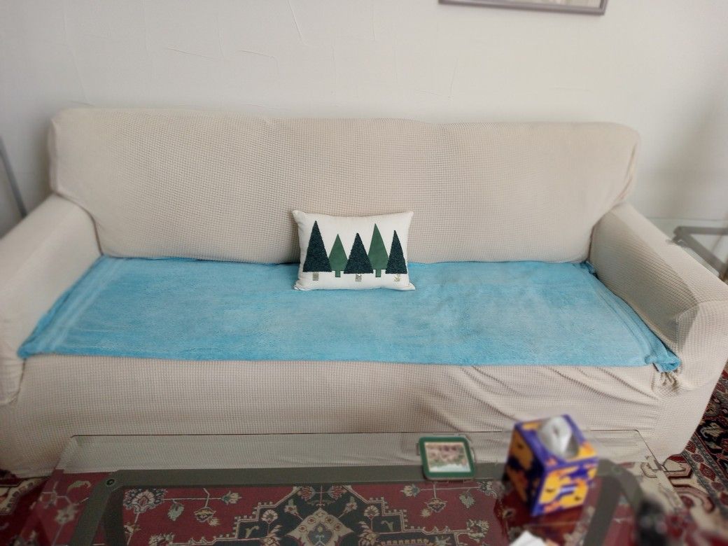 Full Size Couch with hideaway bed