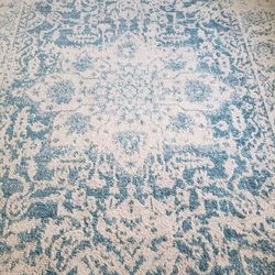 Large Area Rug-Great Condition