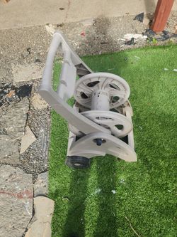 Water Holes Reel