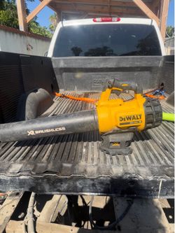 Dewalt 20amp leaf blower