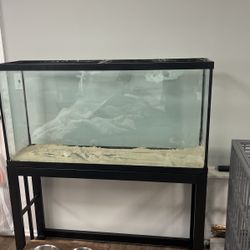 65 Gallon Fish Tank 