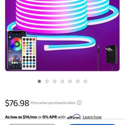 100Ft LED Neon Rope Lights with App and Remote Control, IP65 Waterproof Neon