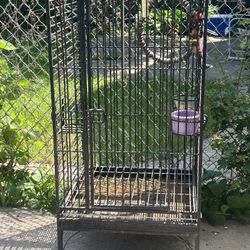 Exotic Bird Cage