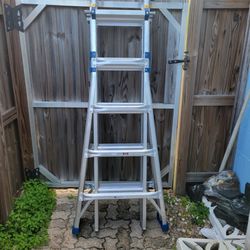 1Werner Ladder