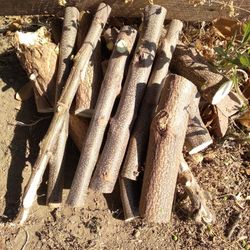 Firewood 