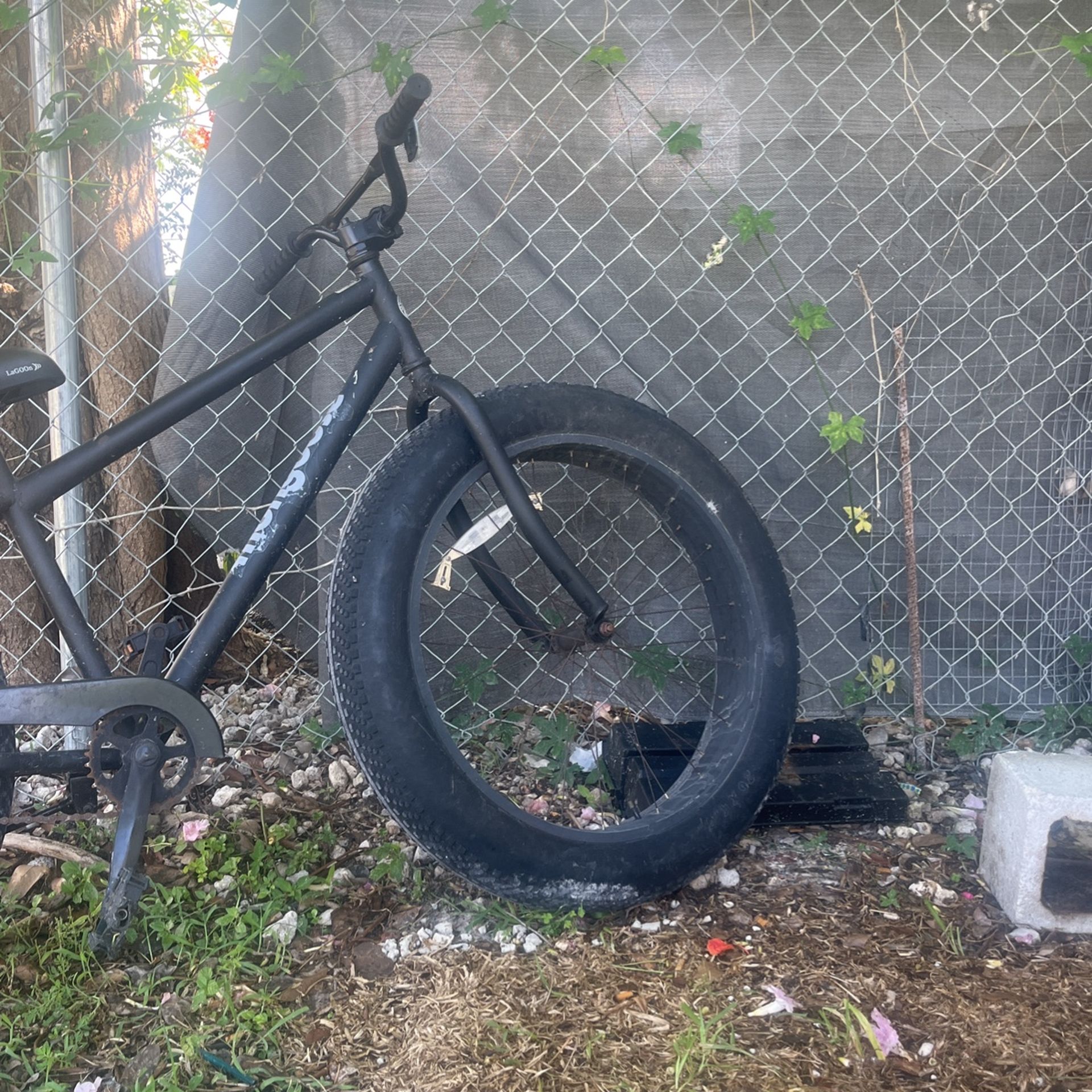 Mongoose