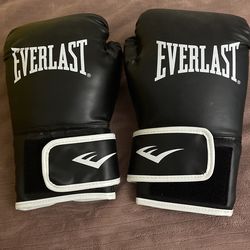 Everlast Punching Gloves