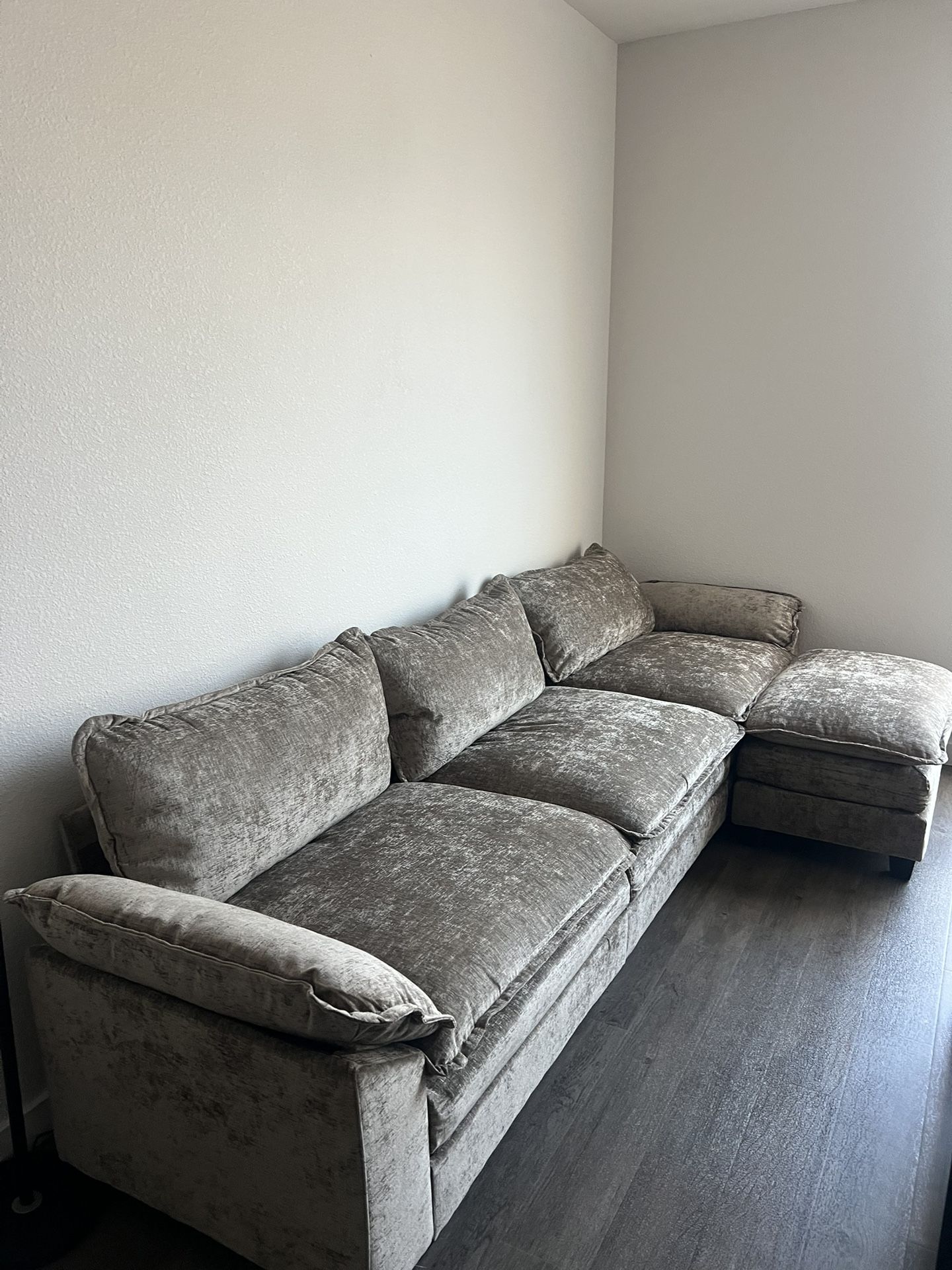 Brand New Couch