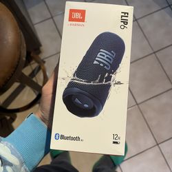 JBL Flip 6