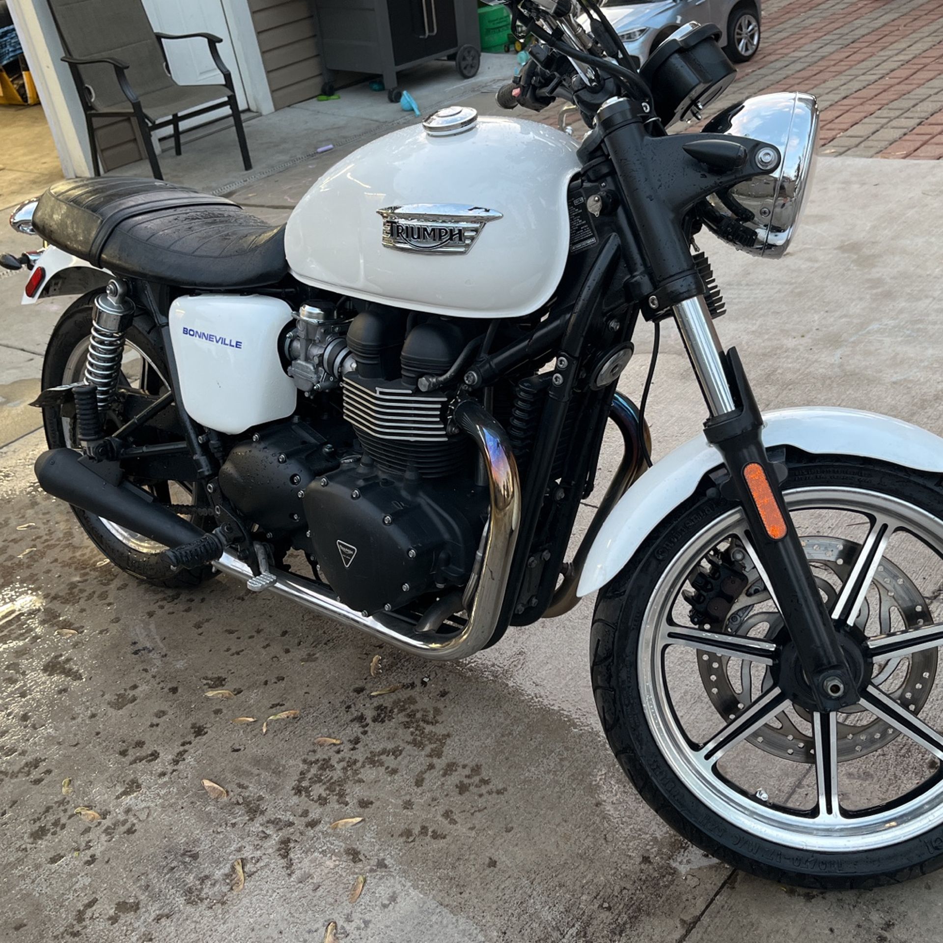 2013 Triumph Bonneville