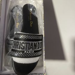 Christian Dior Slides 