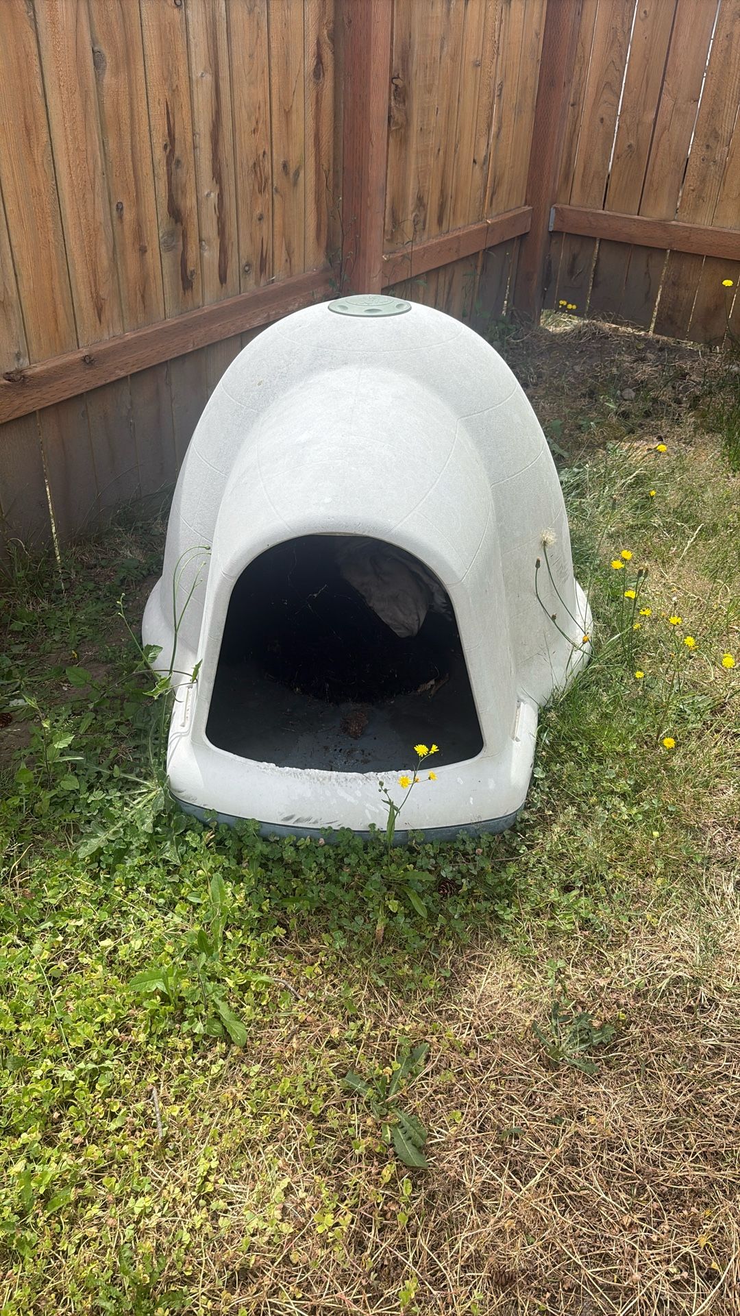 Dog House
