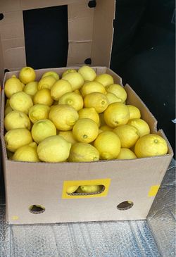 Lemons For Sale