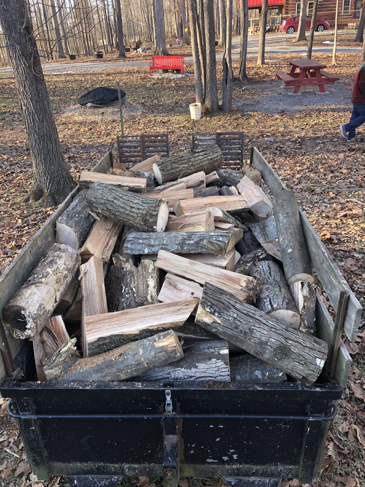 Firewood