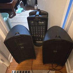 Fender Passport Venue  Portsble PA System
