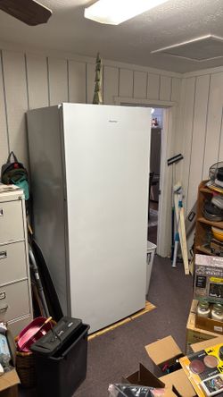 21 cu ft Hisense freezer