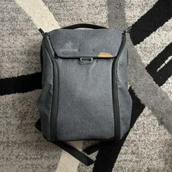 Peak Design Everyday Backpack 20L V2 Camera Bag Gray 