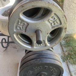One Inch Free Weights 500 Lbs