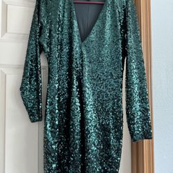 Express Green Sequin Dress