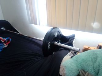 Weight Bench Set