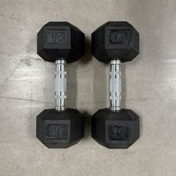 20lb Dumbbells