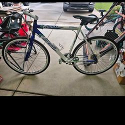 Genesis 29"