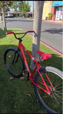 Crew 29er