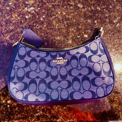Coach Signature Zip Top Shoulder Bag