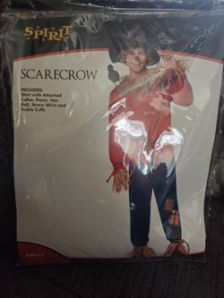 Scarecrow costume