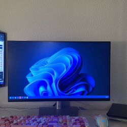 Dell Monitors