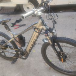 Paselec E Bike Mountain Bike 660 Miles Gold Chain