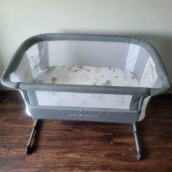 BabyDelight Bedside Bassinet