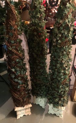 Ivy planter
