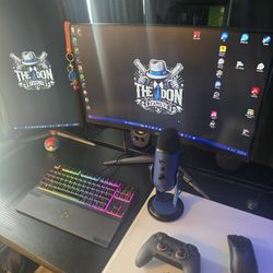 Streamer/Gaming Setup 