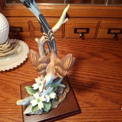  BEAUTIFUL LOOKING VINTAGE  SCISSOR. TAILED FLYCATCHER