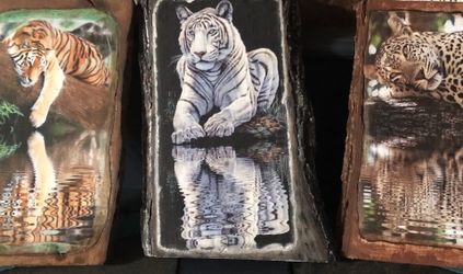 Three print transfers of big cats with reflections in the water