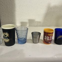 6 Shot Glasses