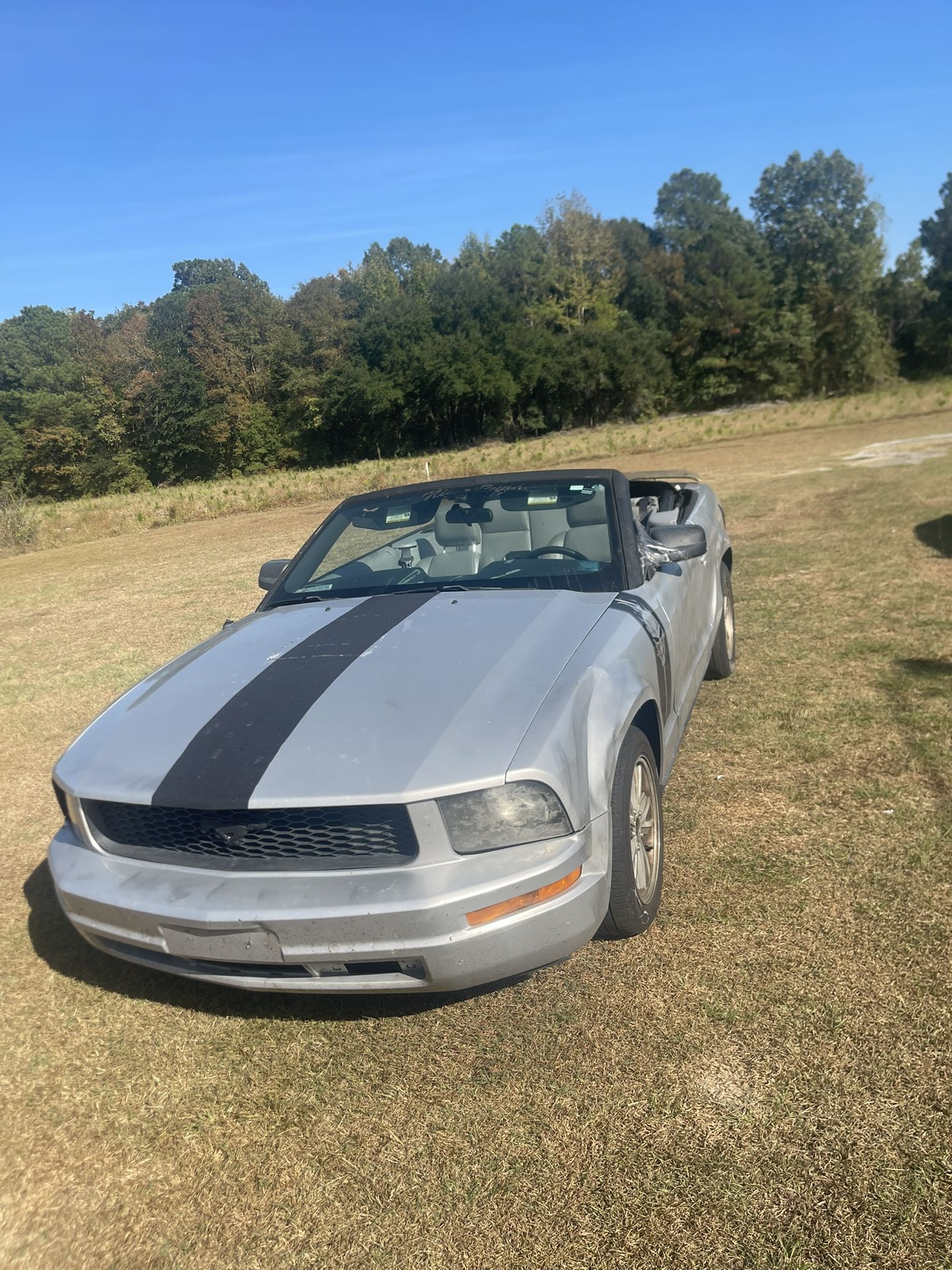 2006 Ford Mustang