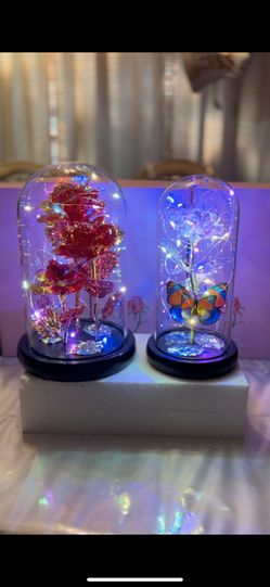 Valentine’s Day Light Up Roses