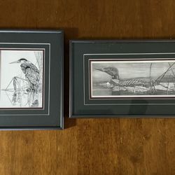 2 Pencil Illustrated Matted Bird Art Prints- Common Loon & Great Blue Heron - Will Ship