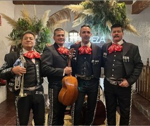 Trompeta mariachi vihuela