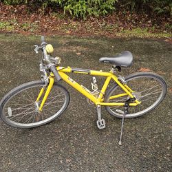 Torker Interurban 24 Bike