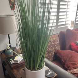 Fake Plant In White Planter