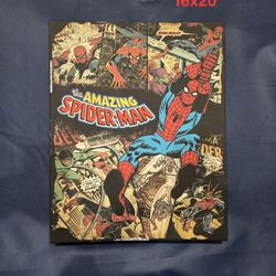 Spider-Man Canvas