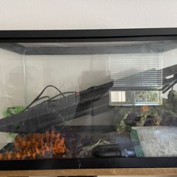 Fish Tank Kit