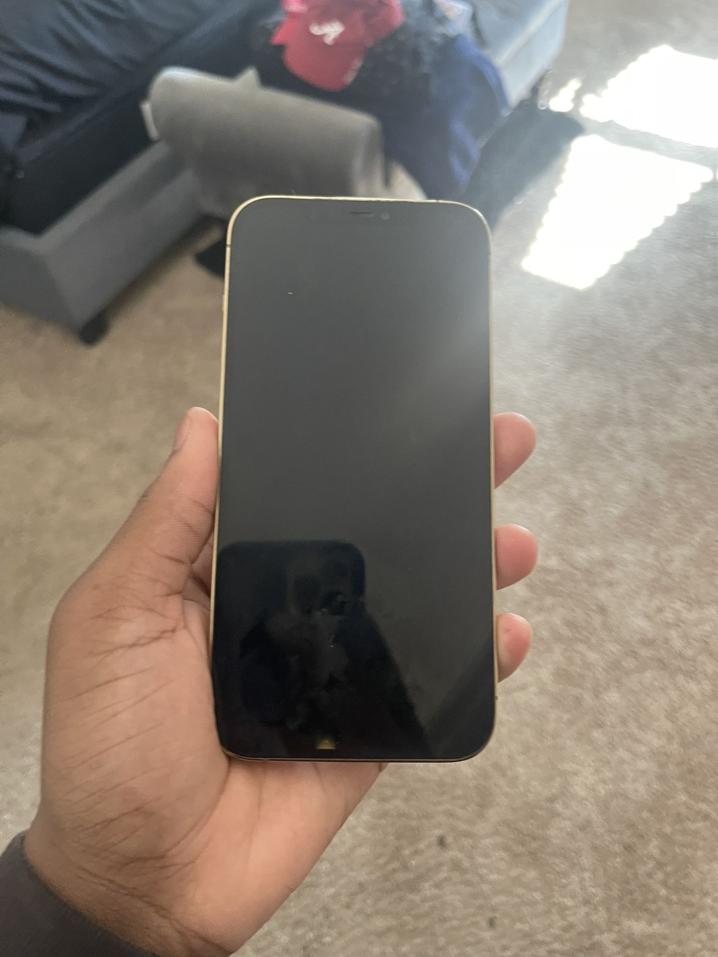iPhone 12 Pro Max
