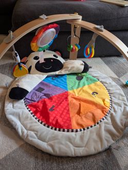 Little Einstein Zen zebra playmat