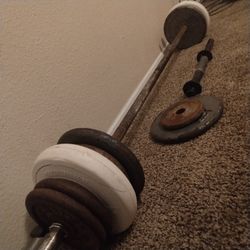 82.5 lbs of FREE WEIGHTS, PLUS BARBELL more lbs & 1 BICEP CURLER FOR MY WORKOUT JUNKIES