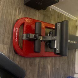 STAMINA X 4-IN-1 STRENGTH TRAINING SYSTEM